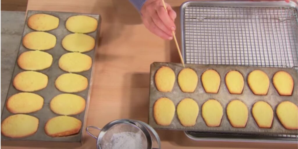 Tips for Perfect Madeleine Cookies Recipe Using Cream